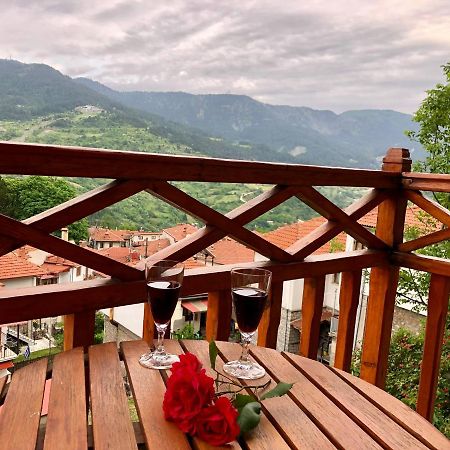 Apostolos Hotel Мецово Екстер'єр фото